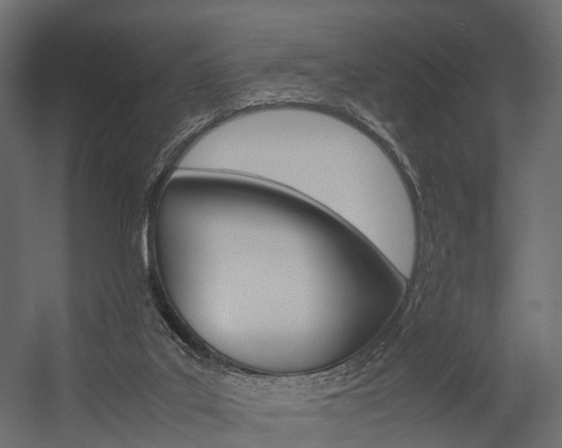 X0000054370019200507290843