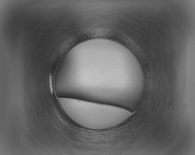 X0000054370022200507290843