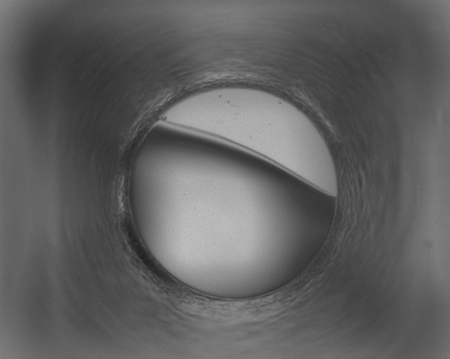 X0000054370023200507290842