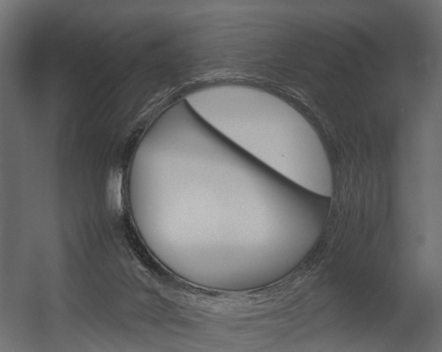 X0000054370024200507290842