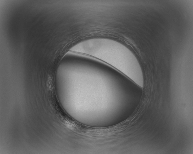 X0000054370025200507290842