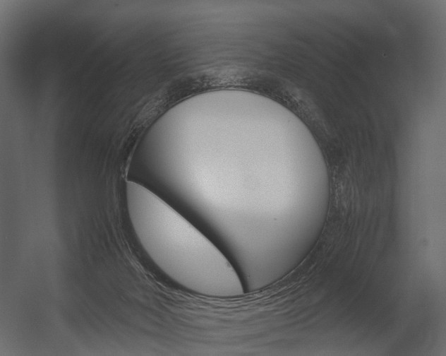 X0000054370026200507290842