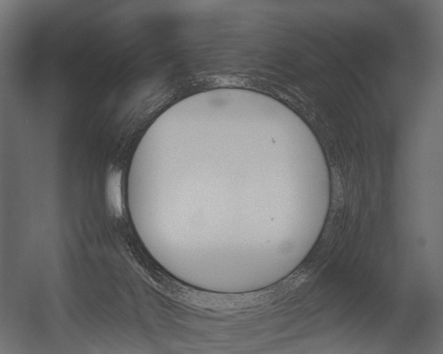 X0000054370028200507290842