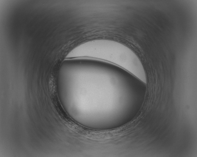 X0000054370029200507290842