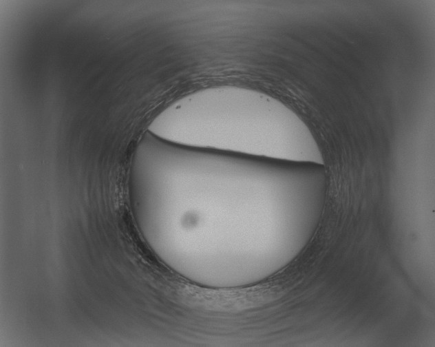 X0000054370030200507290842