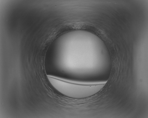 X0000054370031200507290842