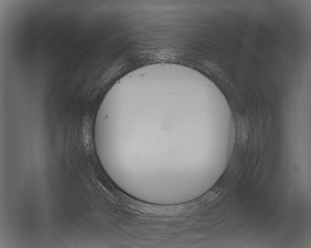 X0000054370032200507290842