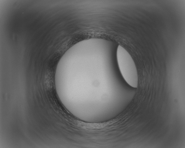 X0000054370034200507290842