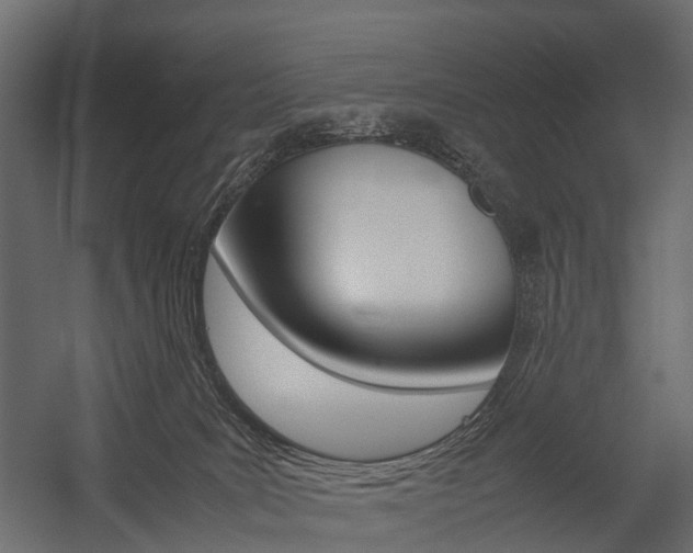 X0000054370035200507290842