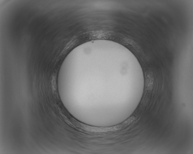 X0000054370036200507290842