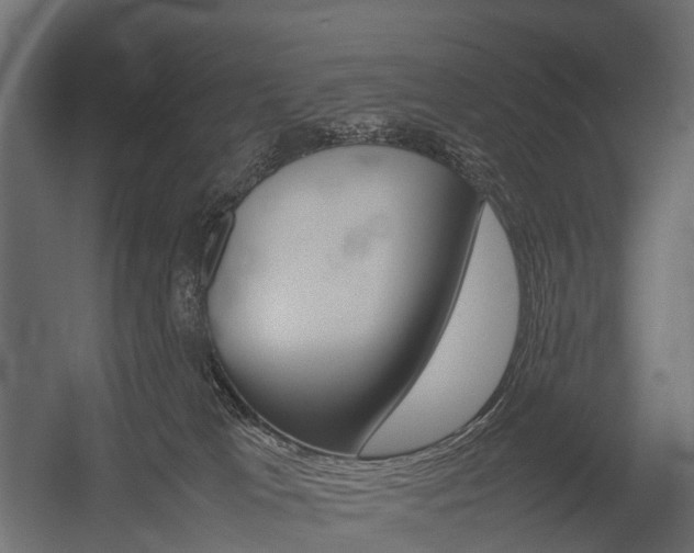 X0000054370037200507290842