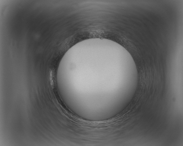 X0000054370038200507290842