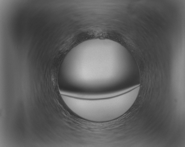 X0000054370039200507290842