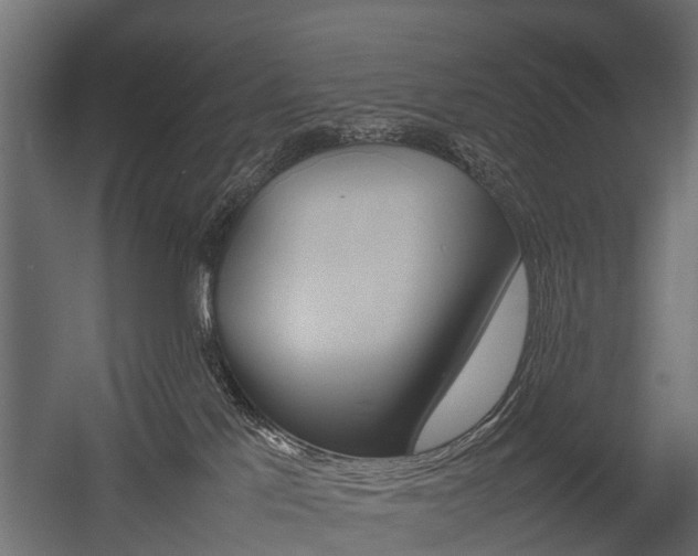 X0000054370041200507290842