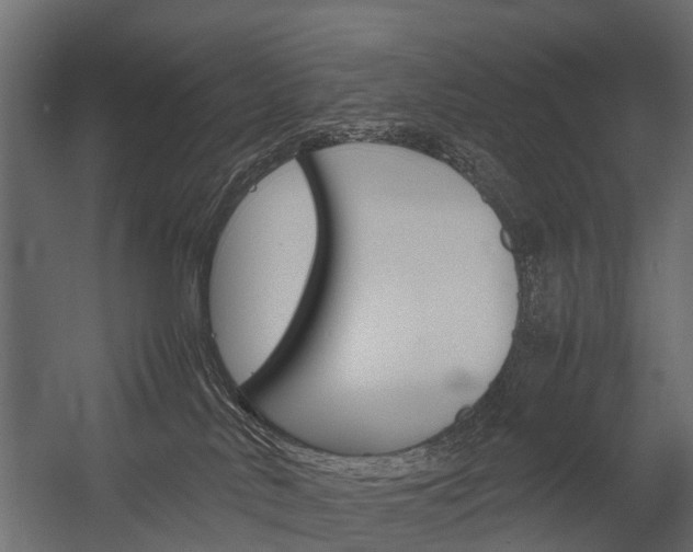 X0000054370042200507290842