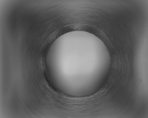 X0000054370044200507290842