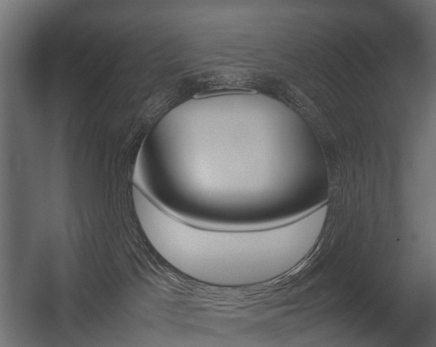 X0000054370045200507290842