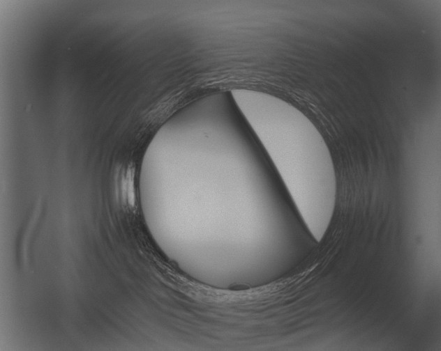 X0000054370046200507290842