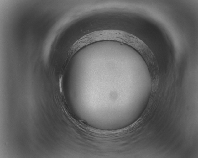 X0000054370047200507290842