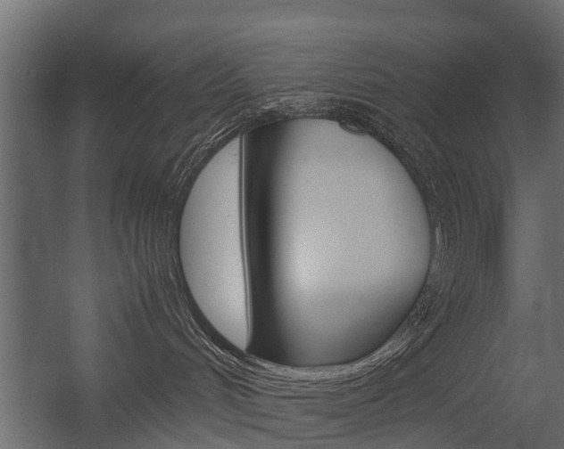 X0000054370048200507290842