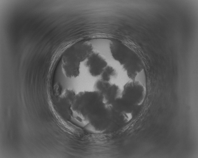 X0000054370049200507290841