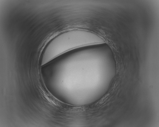 X0000054370050200507290841