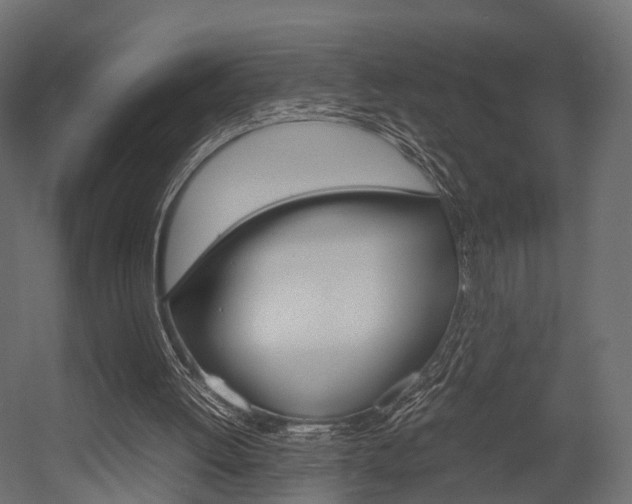 X0000054370052200507290841