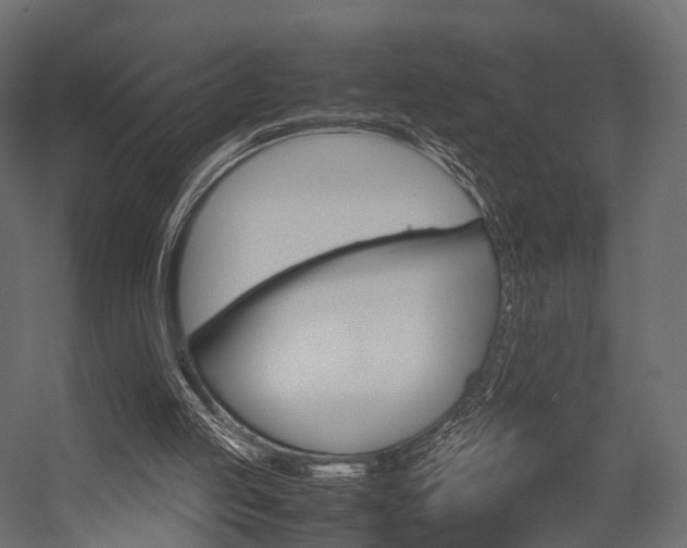 X0000054370053200507290841