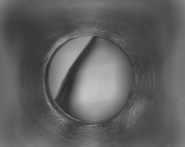 X0000054370054200507290841