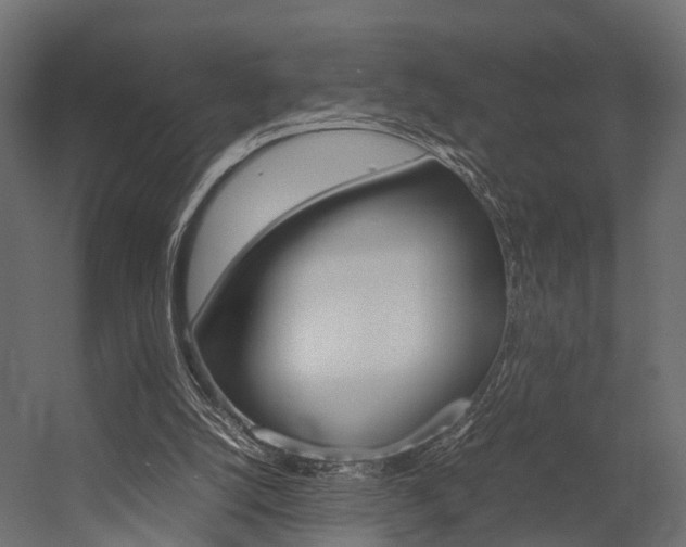 X0000054370056200507290841