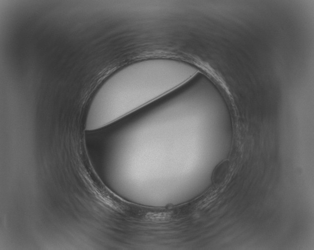 X0000054370057200507290841