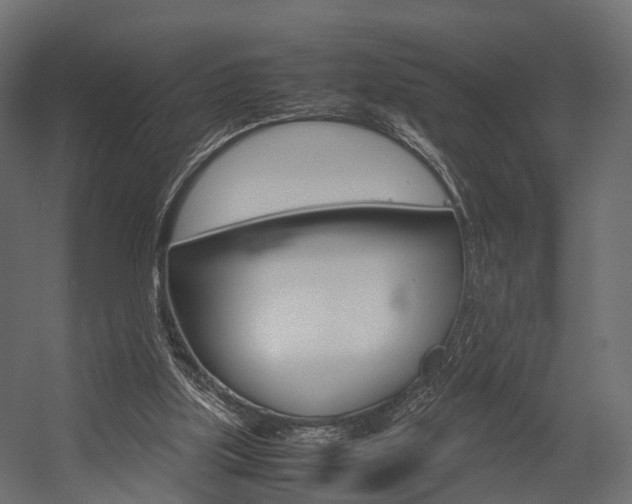 X0000054370059200507290841