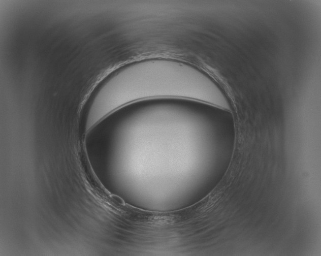 X0000054370060200507290841