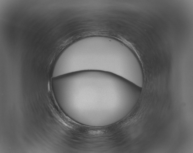 X0000054370061200507290841