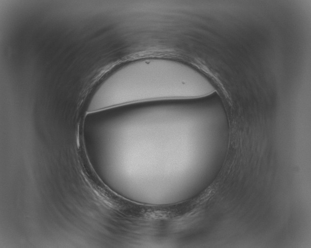 X0000054370062200507290841