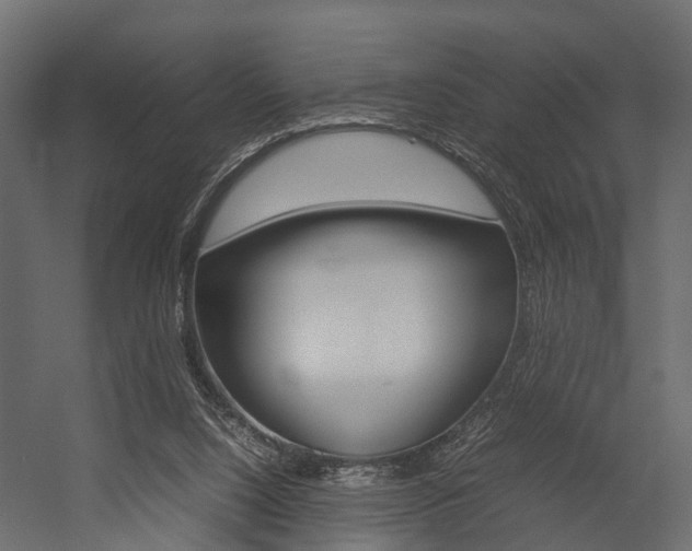 X0000054370064200507290842