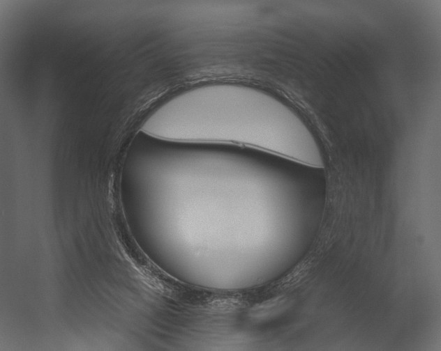 X0000054370066200507290842