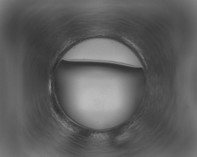 X0000054370067200507290842