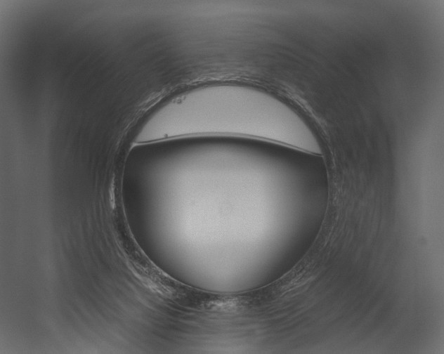 X0000054370068200507290842