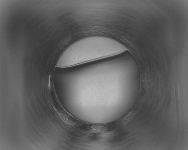 X0000054370070200507290842