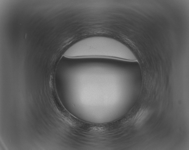 X0000054370071200507290842