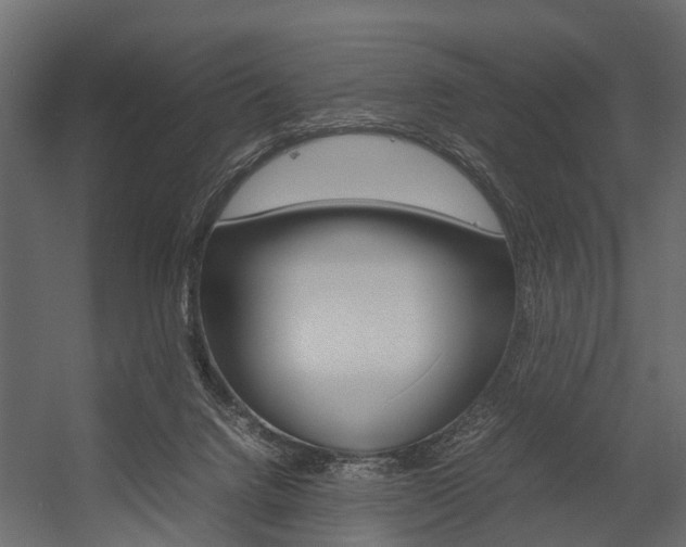 X0000054370072200507290842