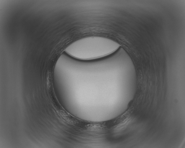 X0000054370074200507290842