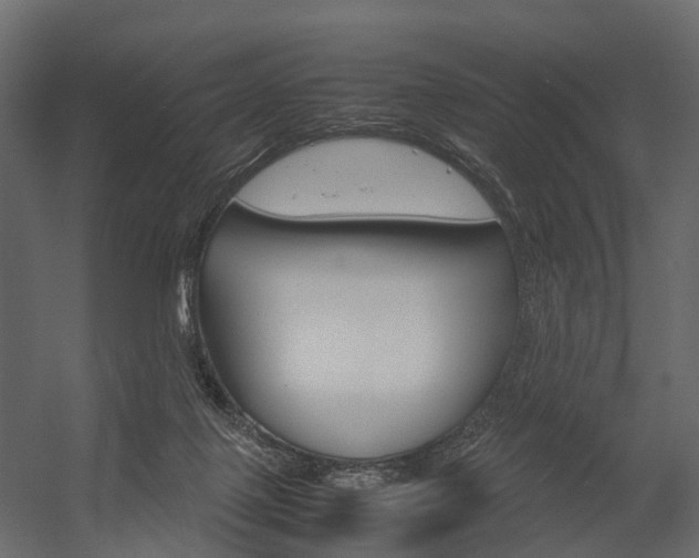 X0000054370075200507290842