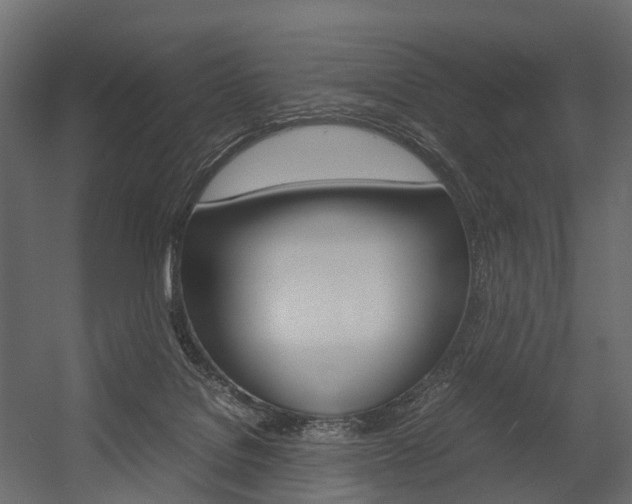 X0000054370076200507290842