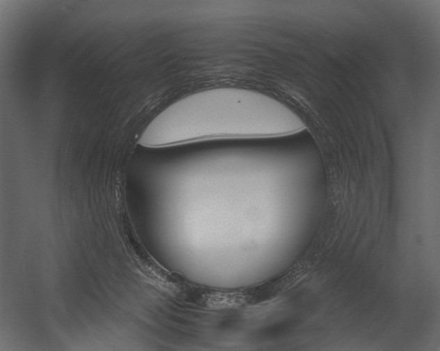 X0000054370077200507290842