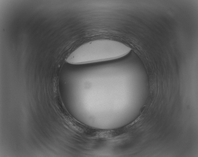 X0000054370078200507290842