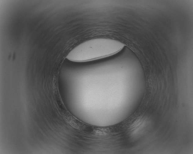 X0000054370079200507290842