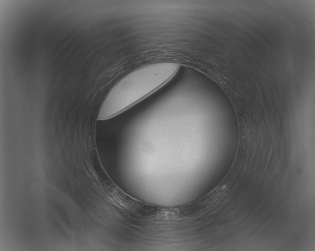 X0000054370080200507290842