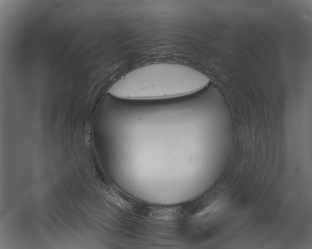 X0000054370081200507290842